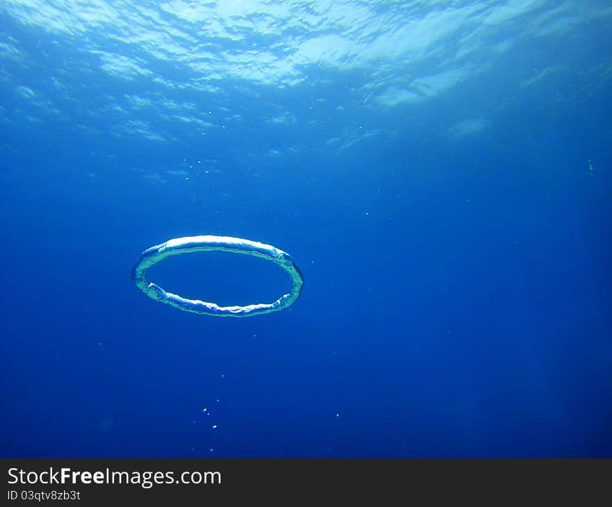 This is dolphin ring made by diver. This is dolphin ring made by diver.