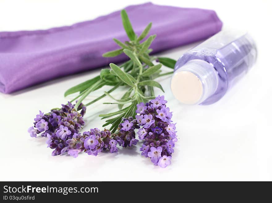 One bunch of fresh lavender and shower on a white background