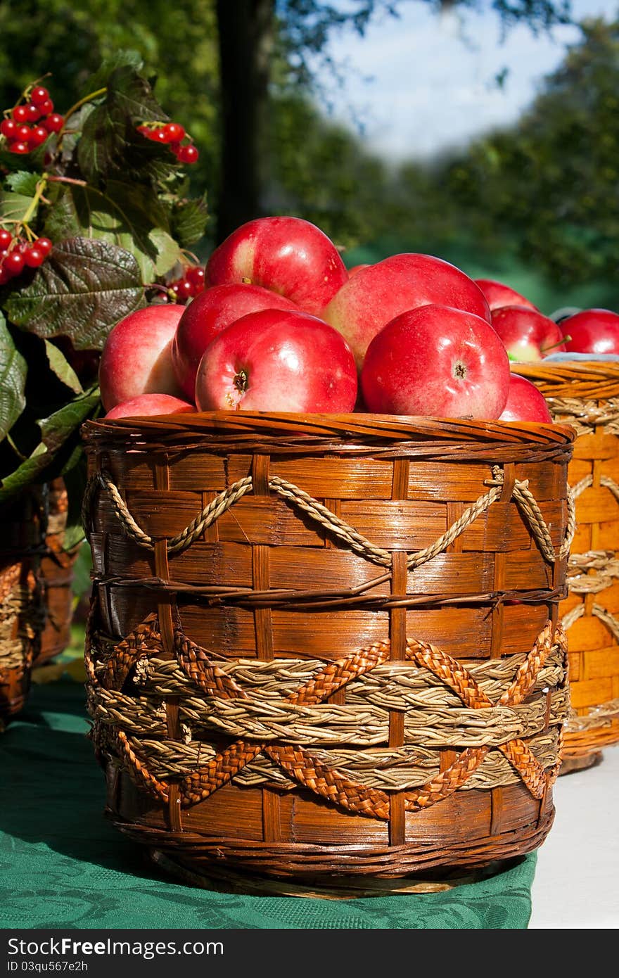 Basket of fresh red apples outdoor on the table on holiday of harvest. Basket of fresh red apples outdoor on the table on holiday of harvest