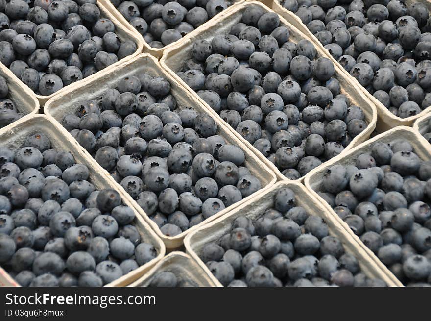 Blueberries in boxes for sale