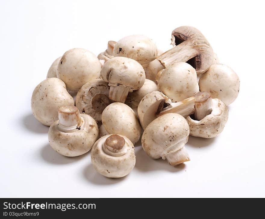 Color photo of white champignons