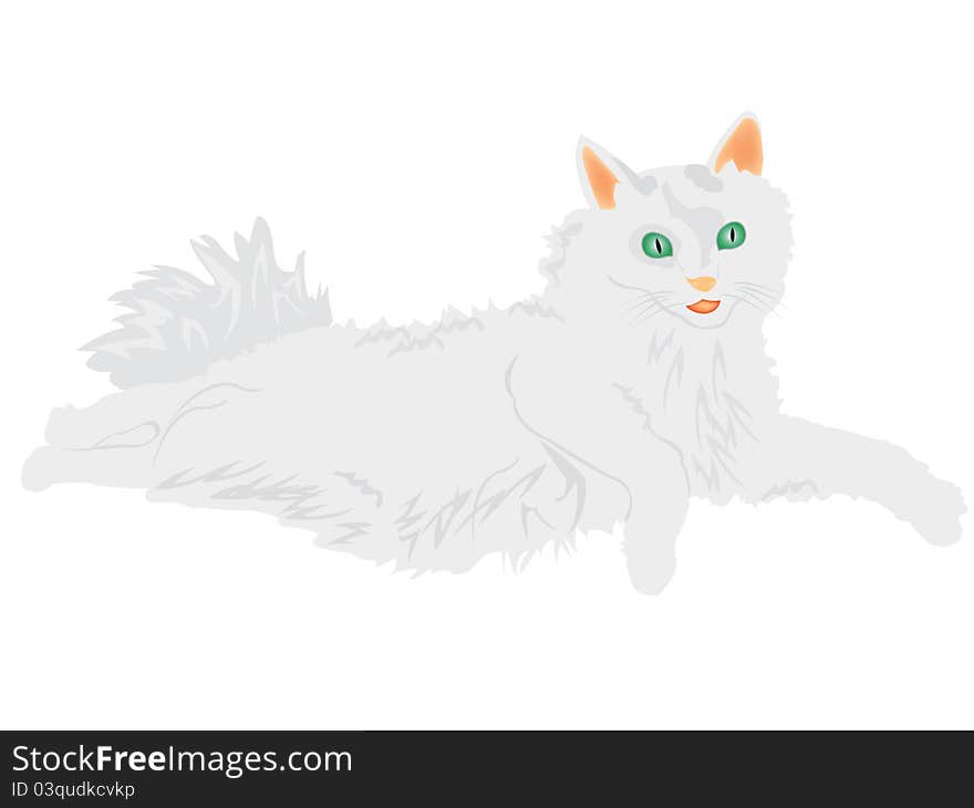 Illustration of the cat on white background