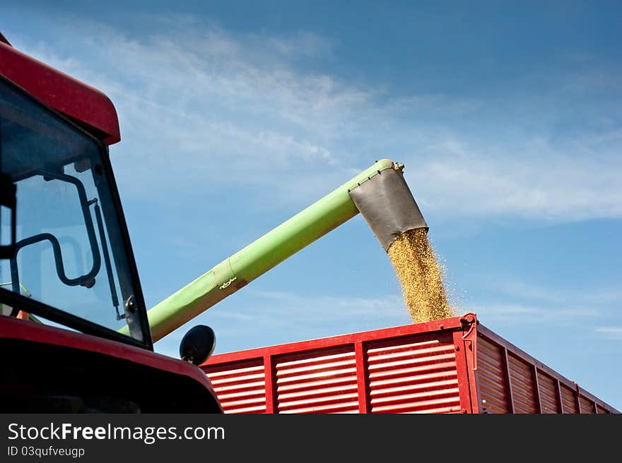 Pouring soy bean into tractor trailer. Pouring soy bean into tractor trailer