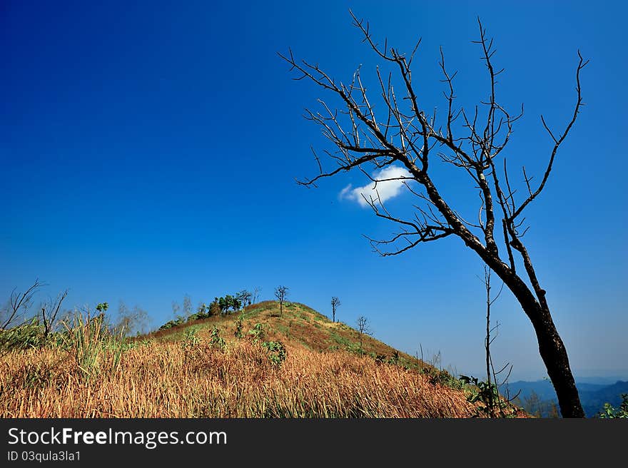 Top view of Mountain, Khao chang puak, Kanchanaburi, Thailand