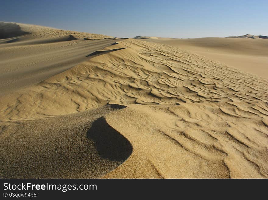 Sand Dune Ripples