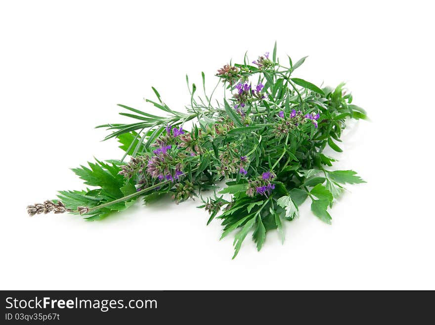 Oregano, parsley, chervil, resemary, thym on white background. Oregano, parsley, chervil, resemary, thym on white background