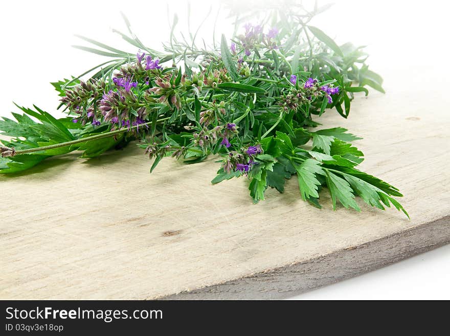 Oregano, parsley, chervil, resemary, thym on white background. Oregano, parsley, chervil, resemary, thym on white background