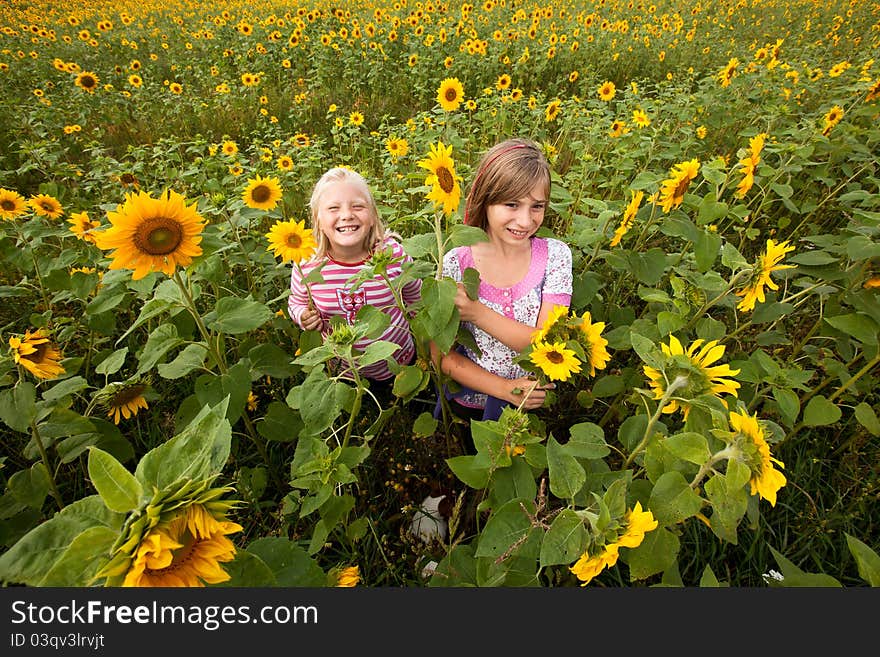 Smilling girls surrounded of sunflowers