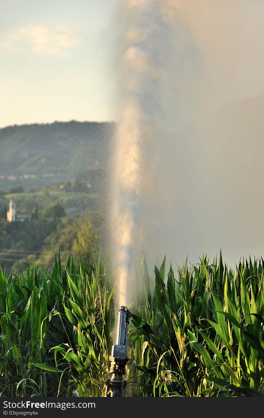 Irrigation Fields