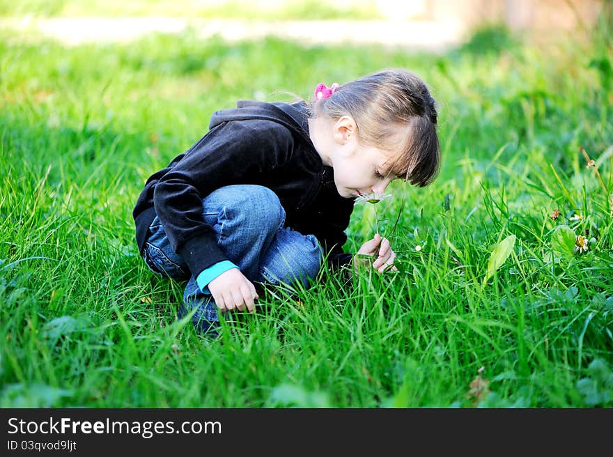 Little brunette child girl sitting in the grass and tenderly smelling a daisy. Little brunette child girl sitting in the grass and tenderly smelling a daisy