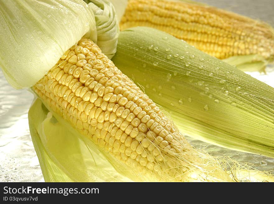 Maize