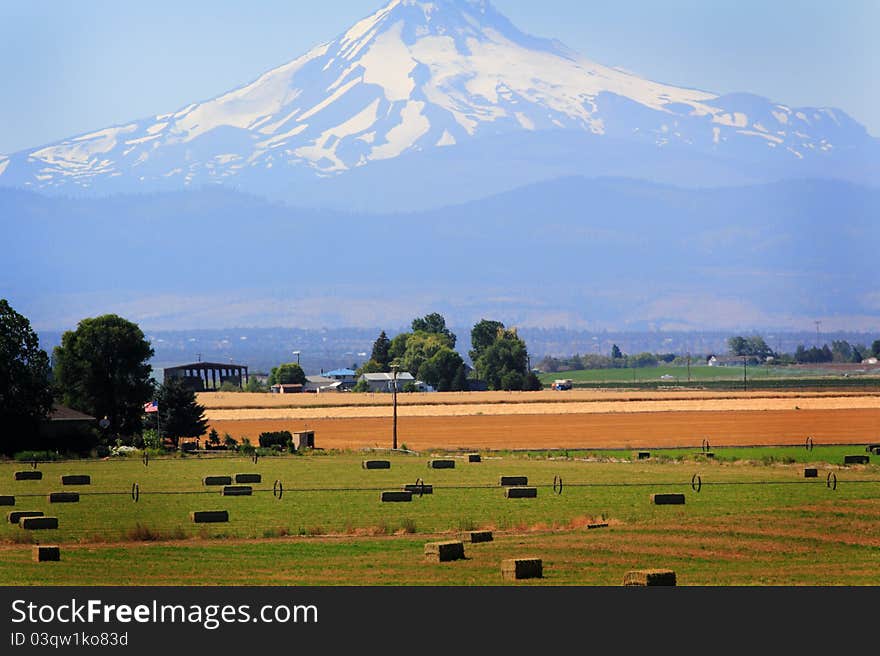 A beautiful common large rural hay ranch against the foothills of the majestic Mt Hood in Oregon under clear skies. Hay bales in the foreground, and Mt Hood in the background. A beautiful common large rural hay ranch against the foothills of the majestic Mt Hood in Oregon under clear skies. Hay bales in the foreground, and Mt Hood in the background.