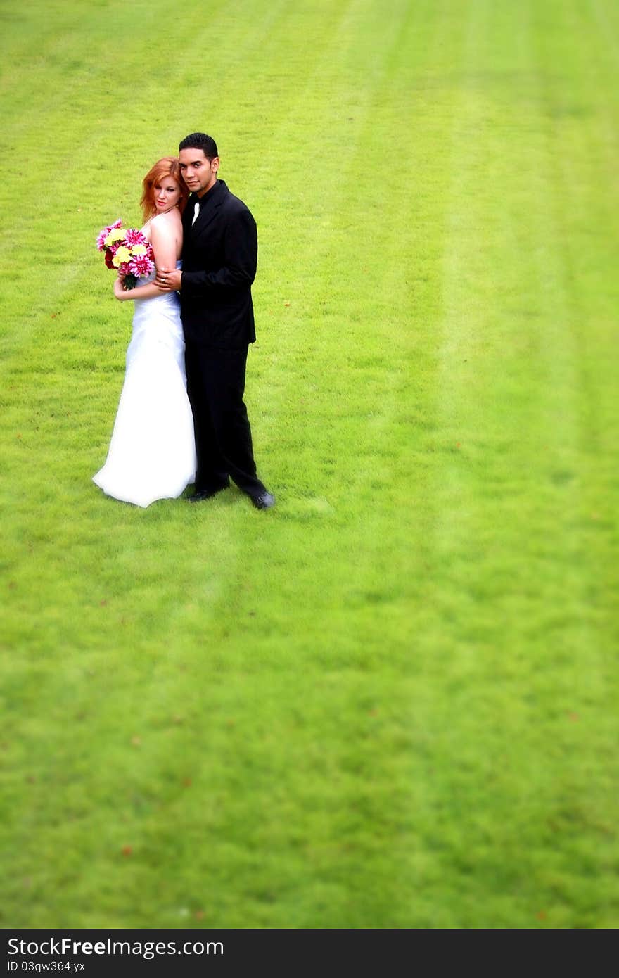 Bride And Groom On Grass