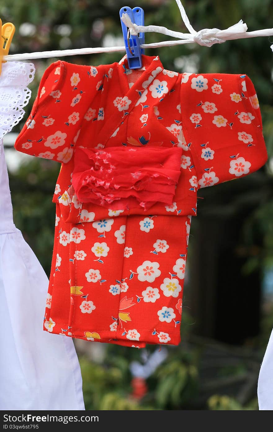 Japanese Dress