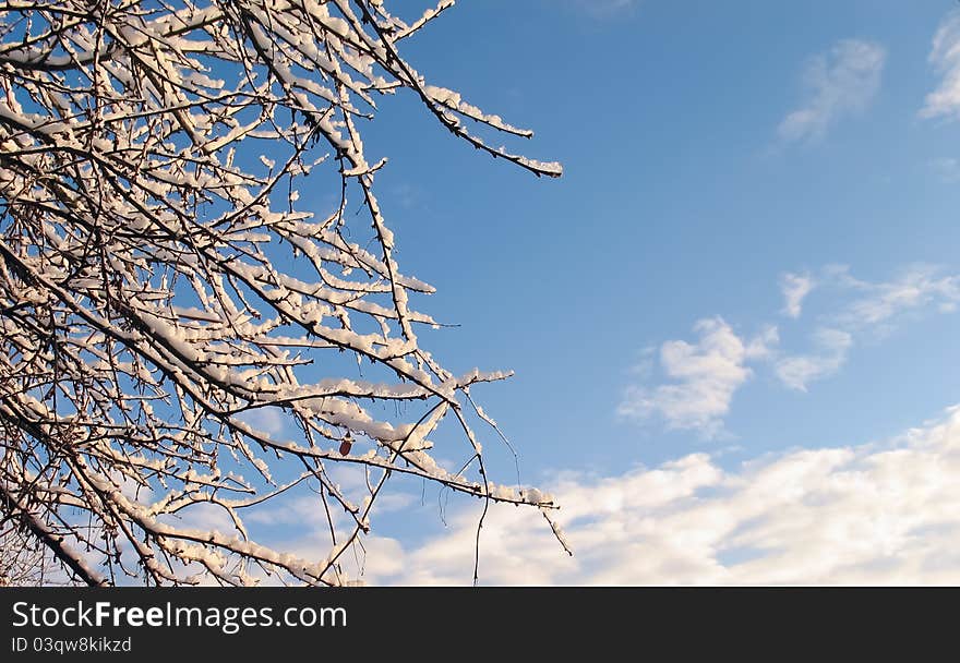 Snow covered