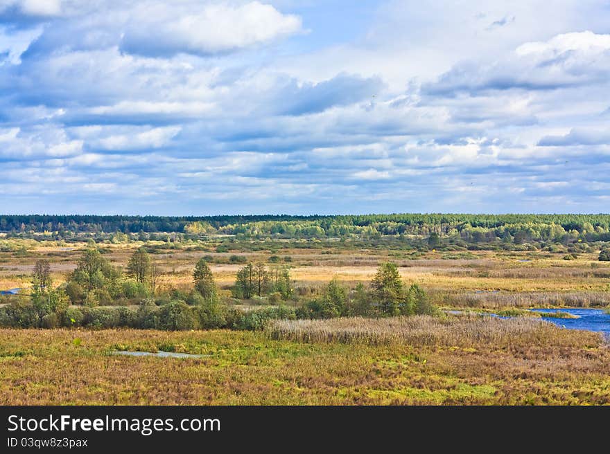 Landscape with forest and sky. Landscape with forest and sky