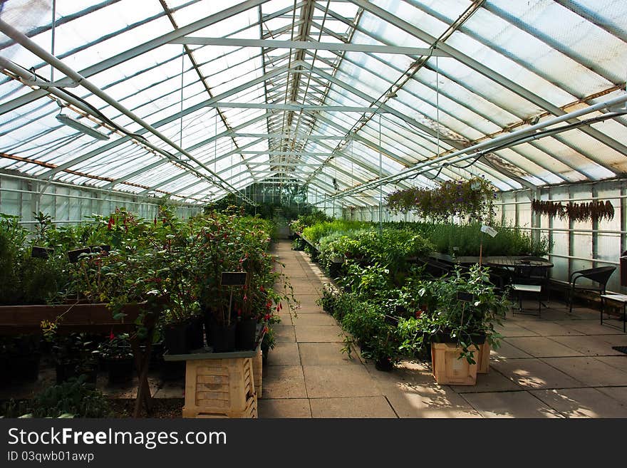 Inside a plastic covered horticulture greenhouse of garden center selling flowers and plants. Inside a plastic covered horticulture greenhouse of garden center selling flowers and plants