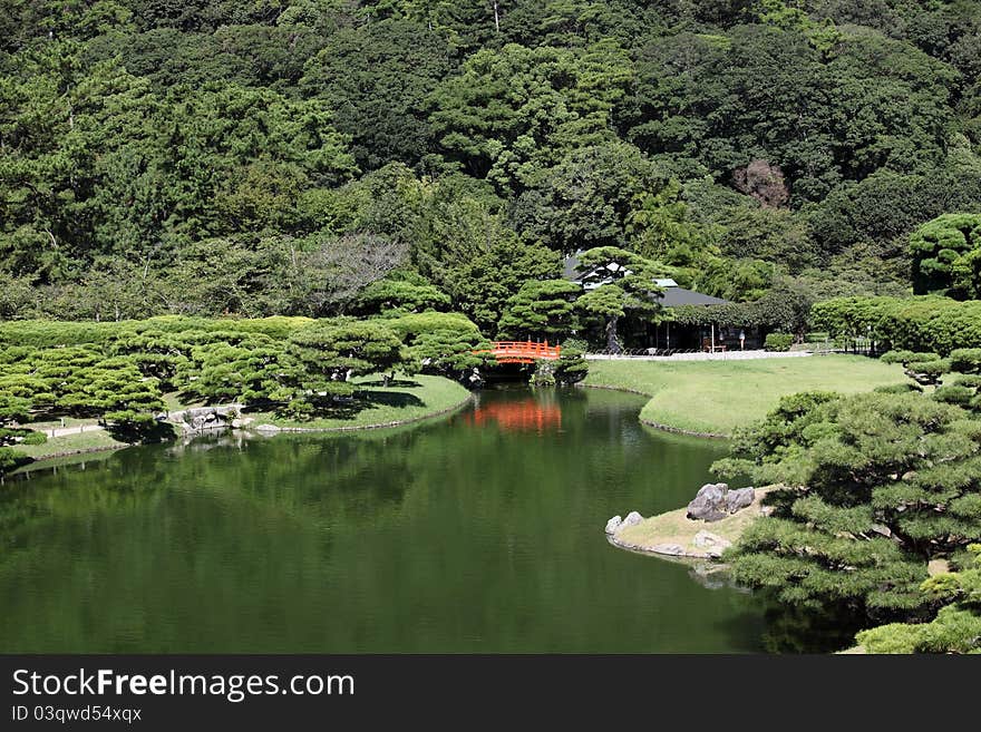 Beautiful japanese garden, green park