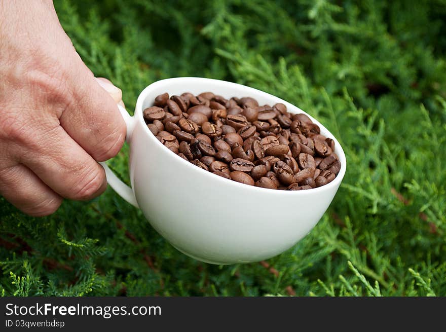 White cup full of coffee beans in hand on green background