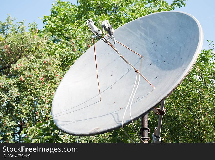 Satellite dish for household use and trees on a background