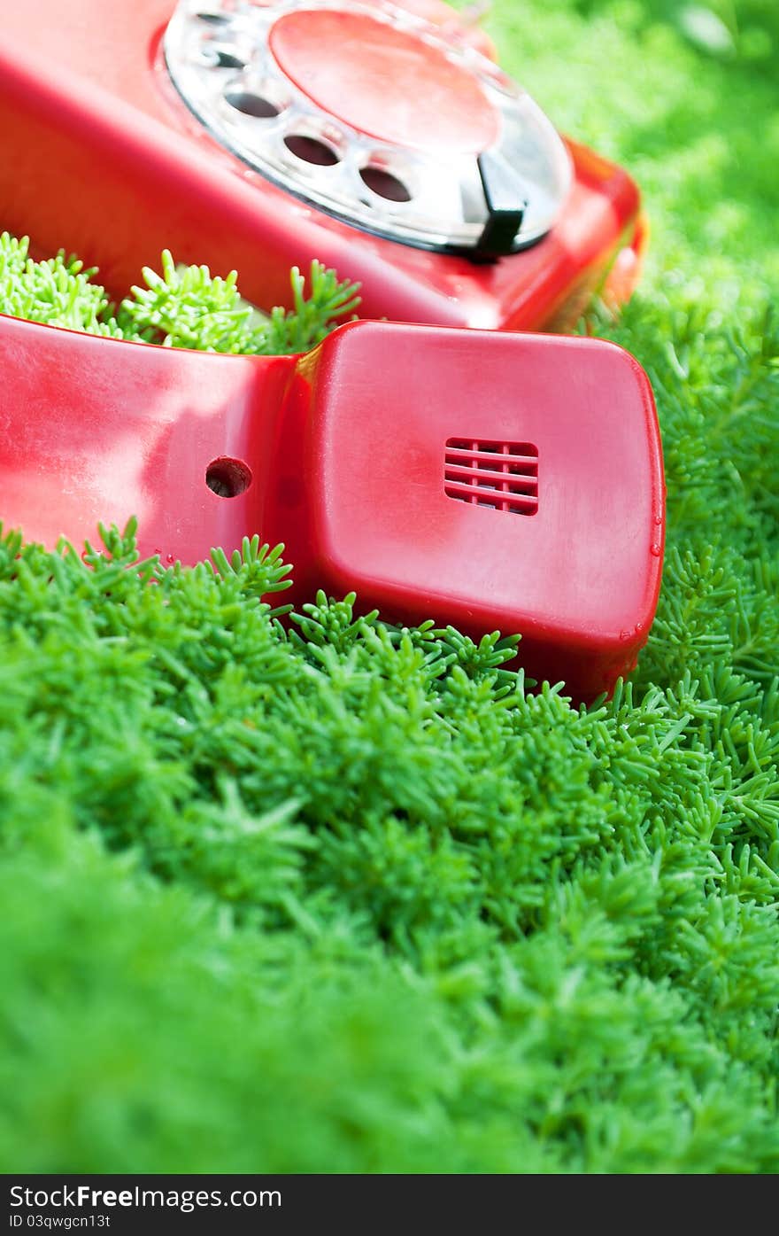 Red and old telephone on a green grass