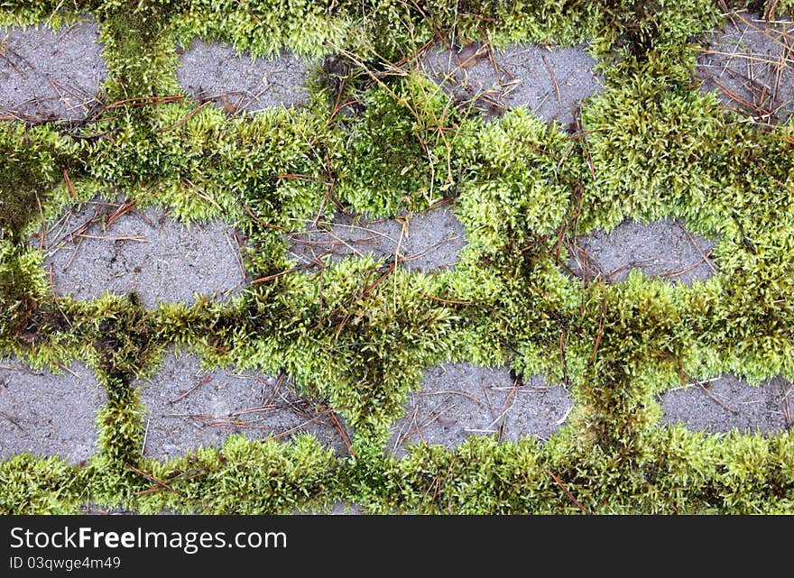 A closeup view of stone way with green moss between stones. Suitable for an abstract background. A closeup view of stone way with green moss between stones. Suitable for an abstract background.