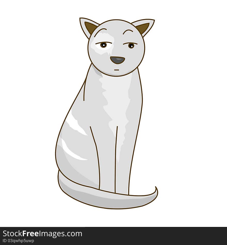 Llustration of a cat on white