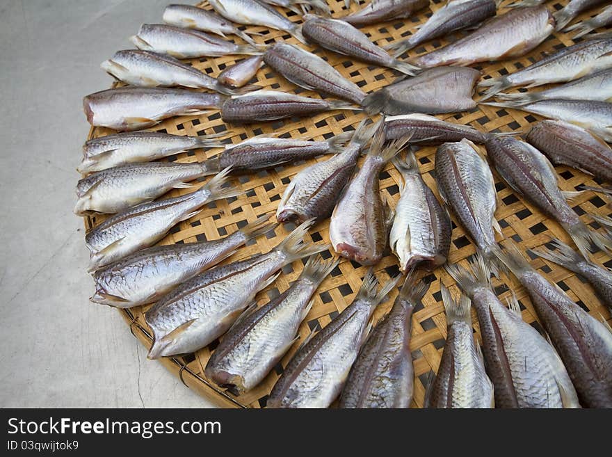 Preservation of dried fish in Thailand. Preservation of dried fish in Thailand.