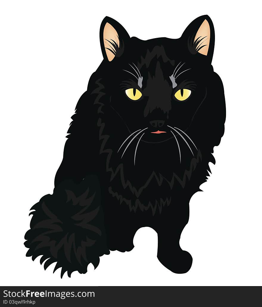 Drawing of the black cat on white background