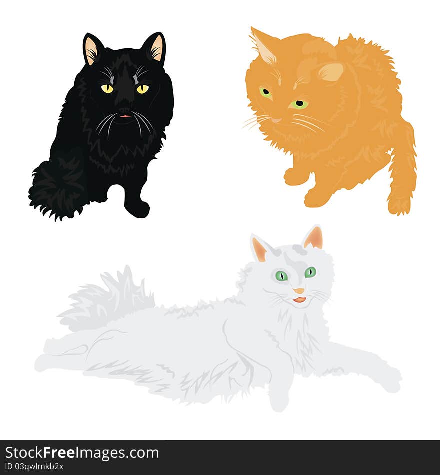 Illustration cat on white background is insulated. Illustration cat on white background is insulated