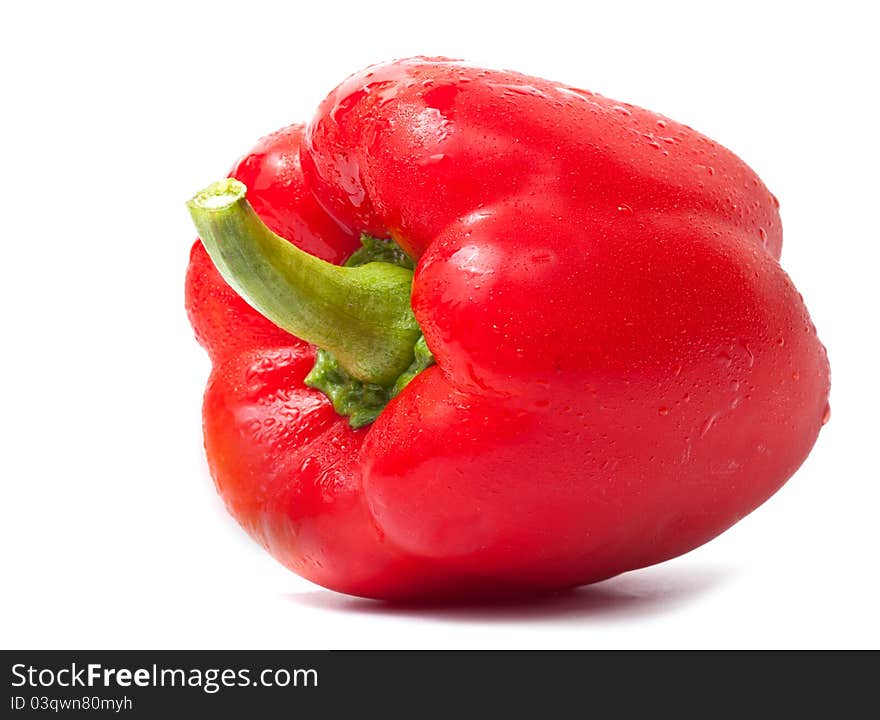 Single fresh red pepper with water drops isolated on white background. Single fresh red pepper with water drops isolated on white background