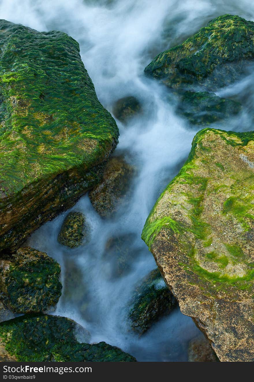 Rocks and weed at sea coast