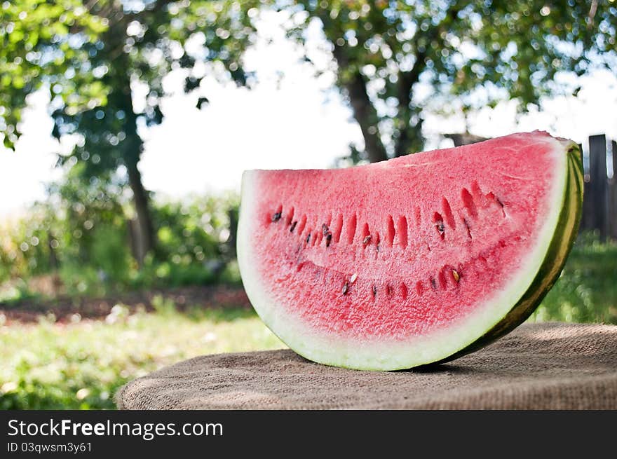 Fresh piece of watermelon