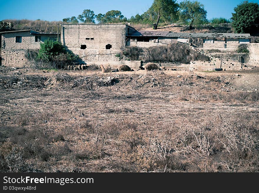 Old farmhouse in a summer day