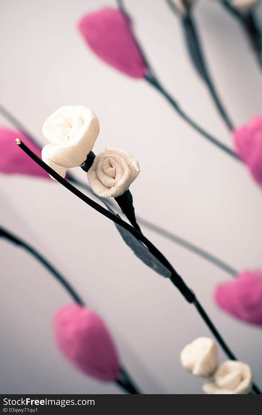 Flower, indoor studio session, one light set