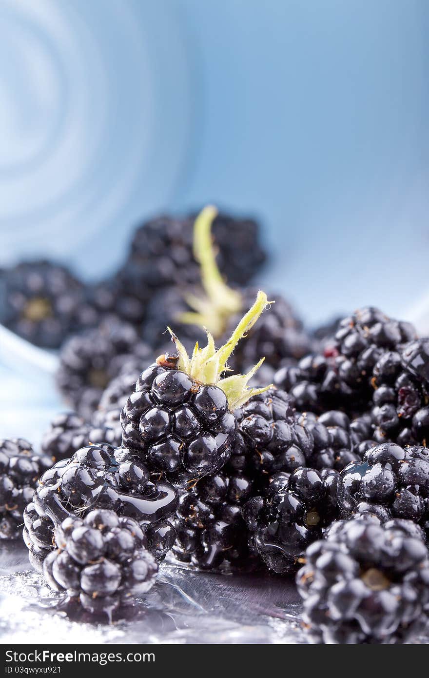 Studio-shot of blackberries in a bucket.
