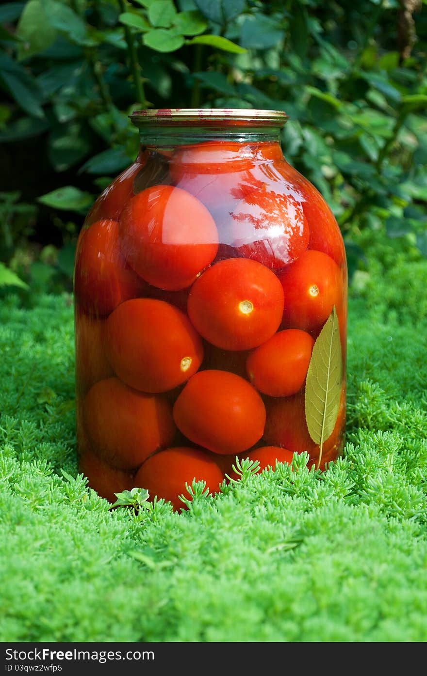 Marinated tomatoes in the pot on a green grass background