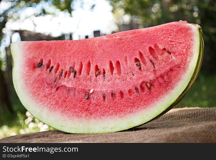 Fresh Piece Of Watermelon