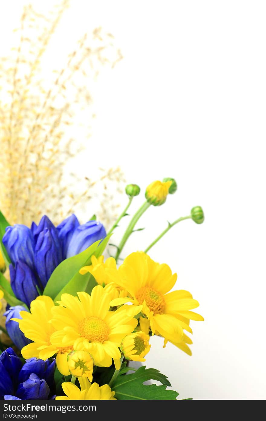 Chrysanthemum and pampas grass