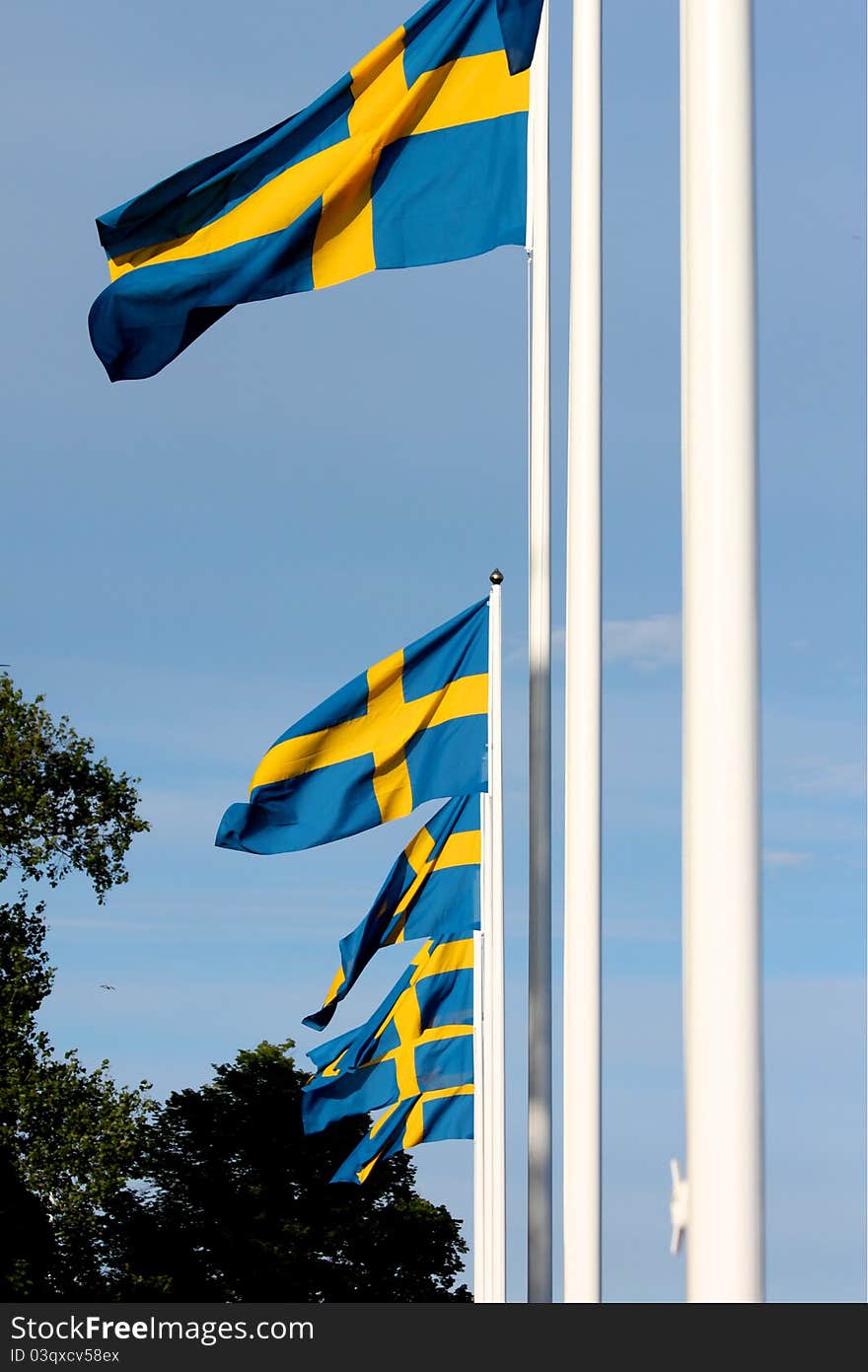 Swedish flags blowing in the wind