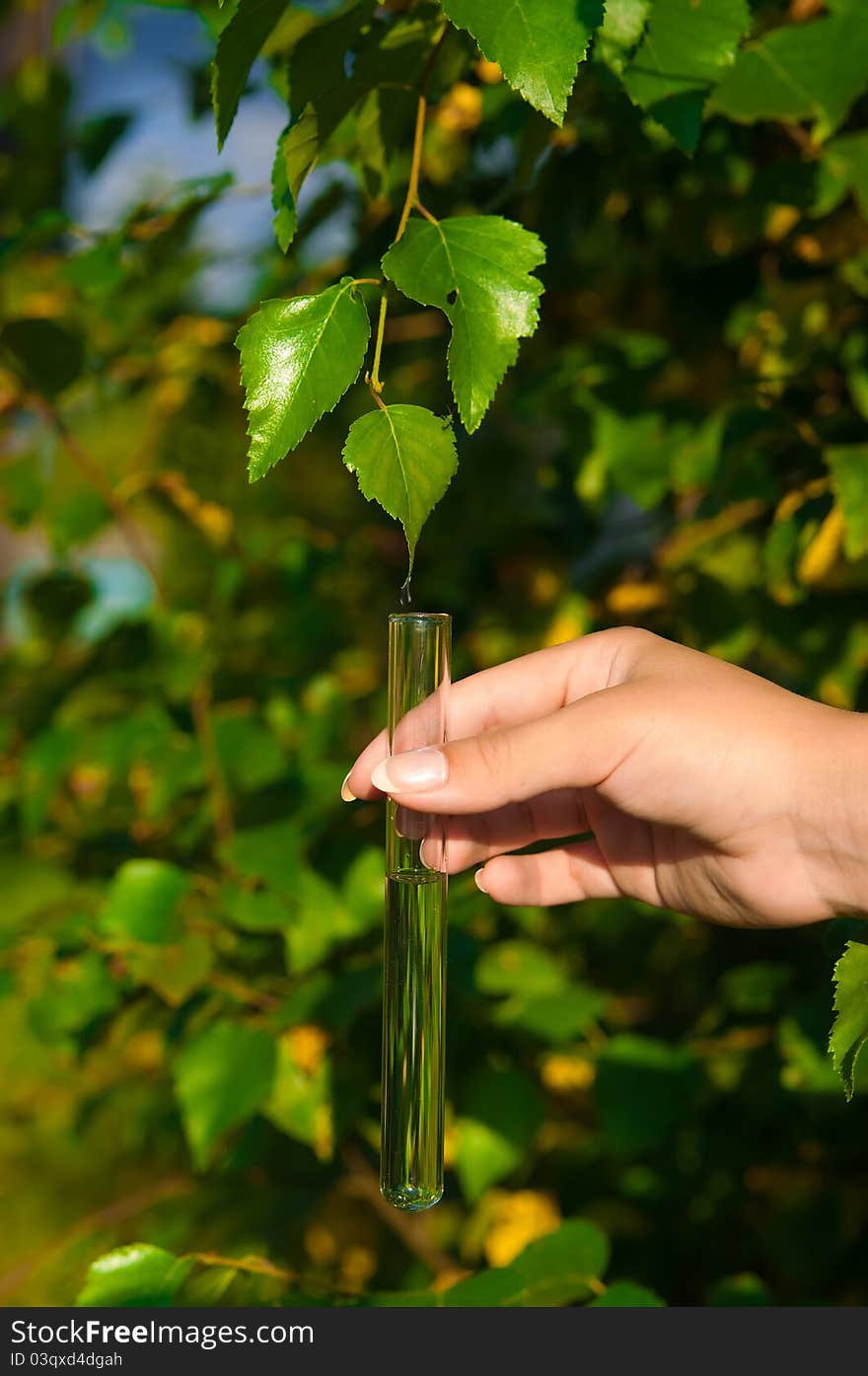 Test-tube with crystal clear water and a falling drop. Test-tube with crystal clear water and a falling drop