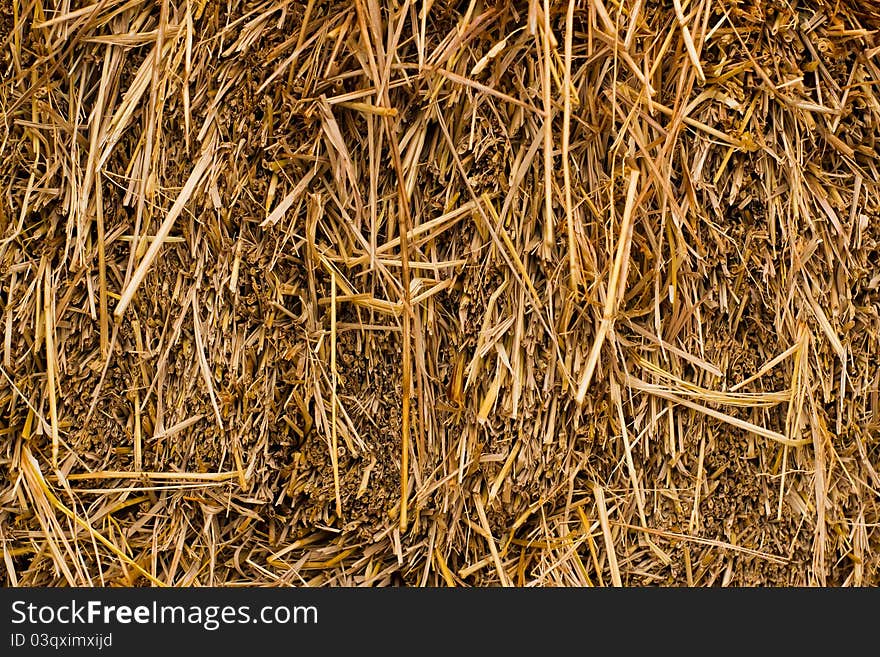 Close up of ground. Texture of straw