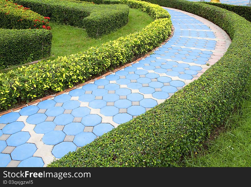 Pathway in the garden Thailand