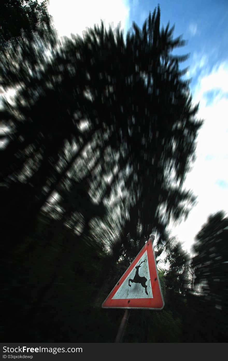 Dynamic danger sign deer crossing