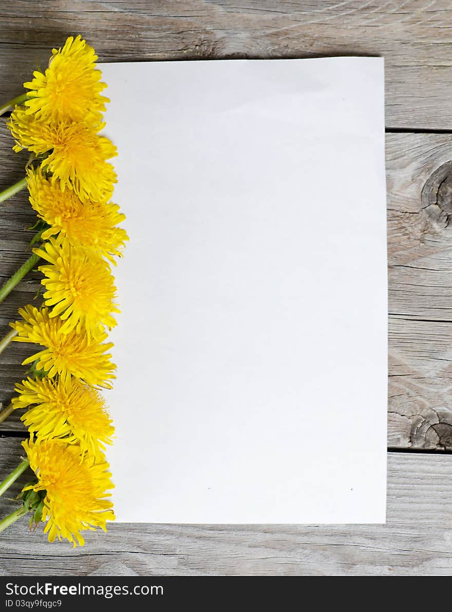 Yellow dandelion on a wooden surface