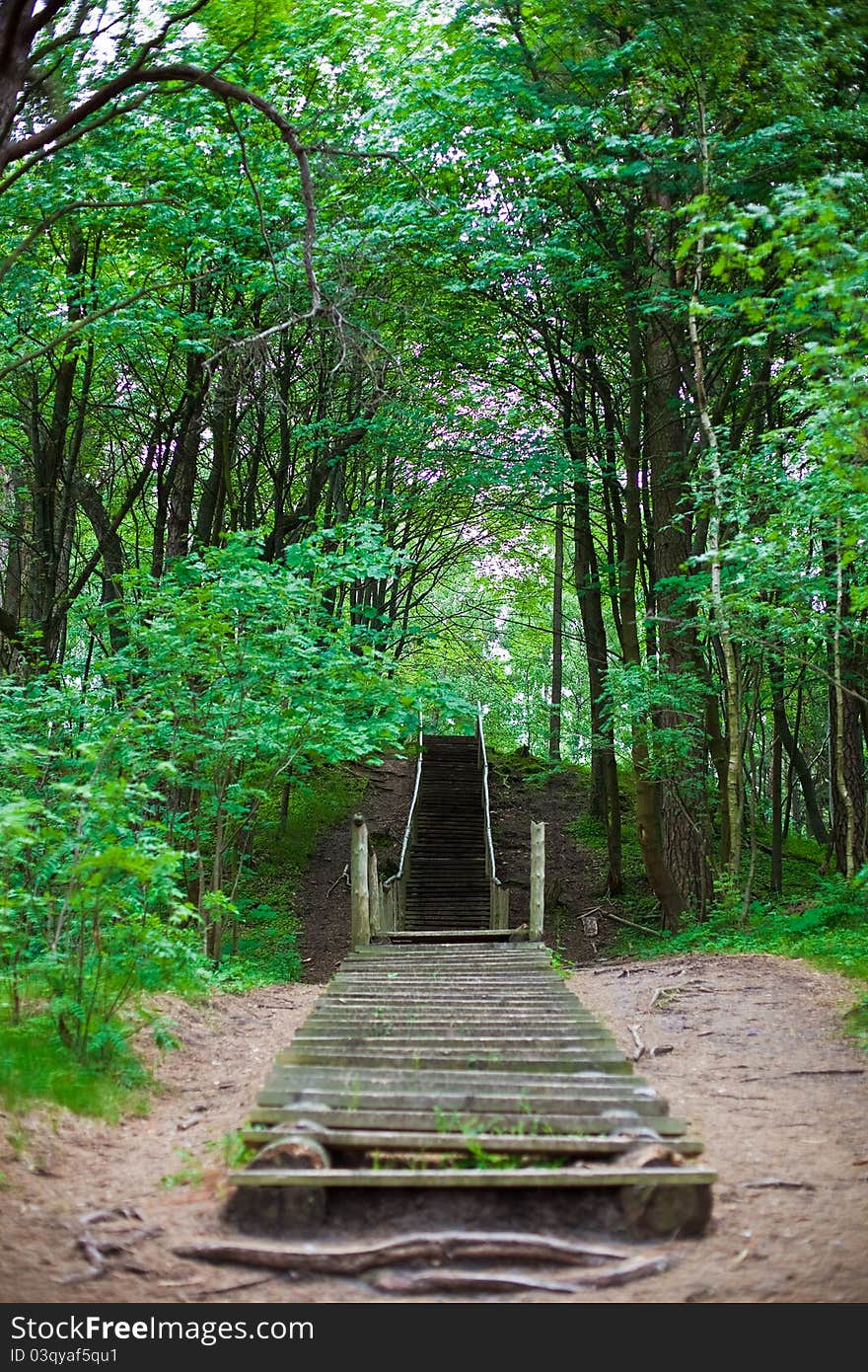 Wooden stairs with a wooden handrails created in the forest in Klaipeda, Lithuania. Wooden stairs with a wooden handrails created in the forest in Klaipeda, Lithuania