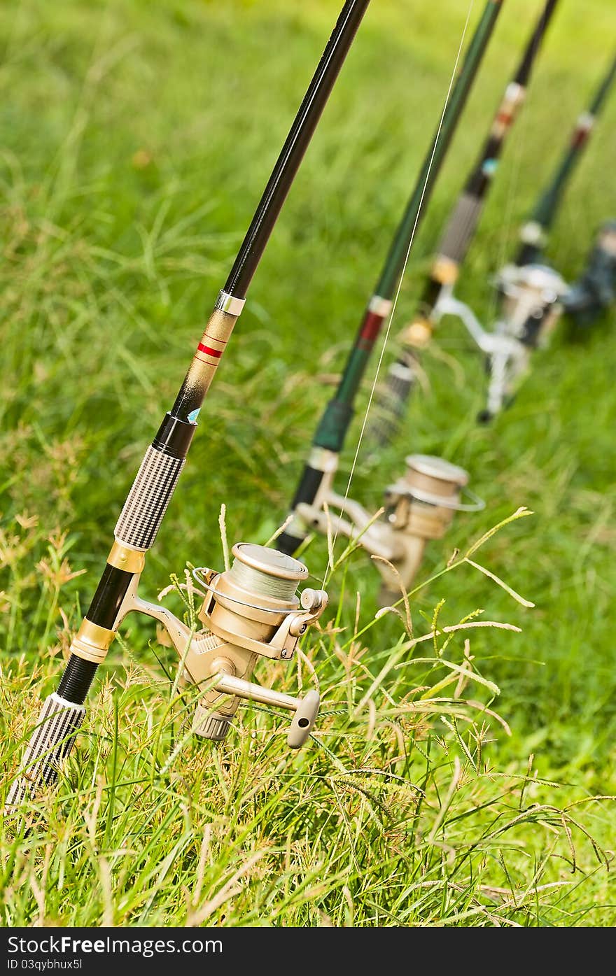 Fishing rod on the grasses