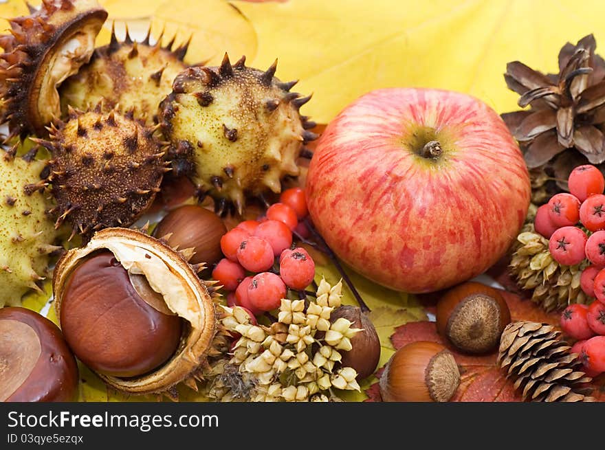 Autumn leaves and fruits as a background