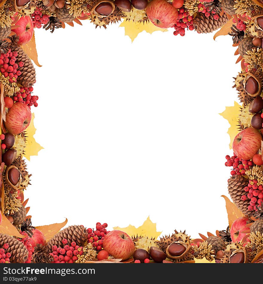 Autumn Leaves And Fruits Isolated