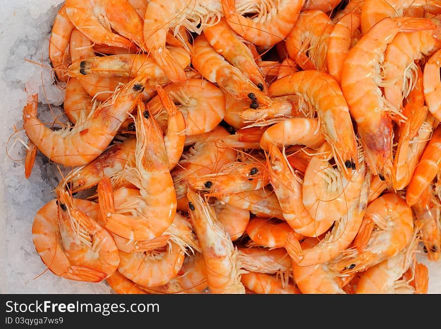 Fresh Shrimps On Ice